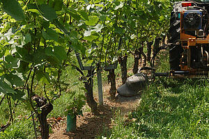 Une machine de désherbage travail le sol sous le rang de la vigne. Dans l'interrang, il y a de l'herbe. (Photo: FiBL, Dominique Lévite)