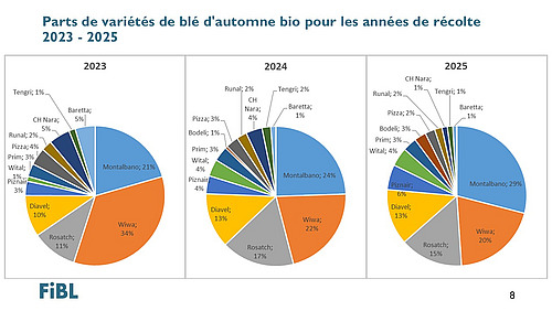 Graphique montrant les proportions de variétés de blé d'hiver bio pour les années de récolte 2023-2025.
