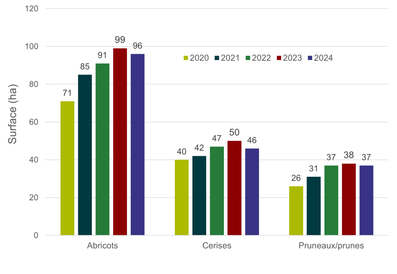 Vergers fruits a noyau.