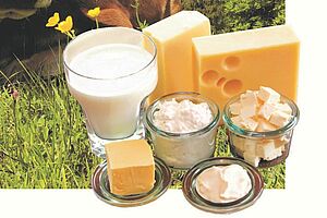 Divers produits de lait, du fromage au verre du lait
