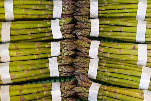 Asperges vertes en bottes.