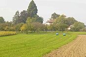 devant, une prairie et un champ travaillé; derière, un verger; tout au fond, une maîson de maître.