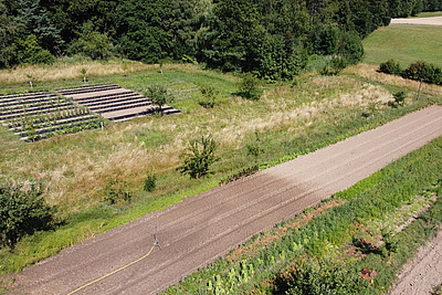 Sur une photo aérienne, on peut voir l'irrigation d'un grand champ à l'aide d'un arroseur ; à côté se trouvent des rangées d'arbres et d'autres champs plus petits. L'arroseur ne couvre qu'une partie du champ. 