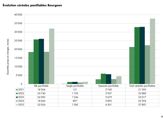Graphique évolution des quantités prises en charge de céréales panifiables Bourgeon 2024