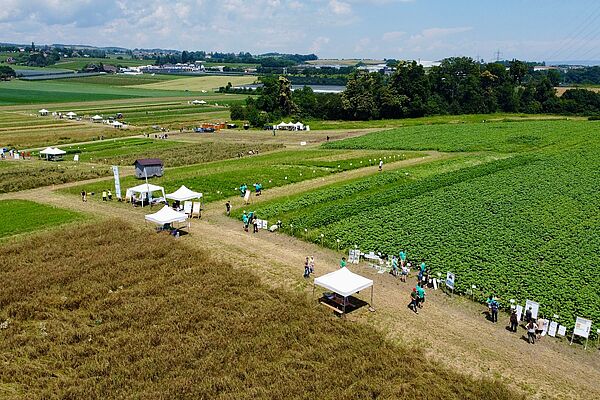 Différentes cultures avec des gens et des tentes.