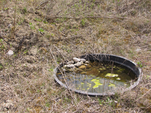 Baignoire avec de l`eau et des roches en hiver