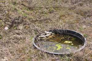 Baignoire avec de l`eau et des roches en hiver