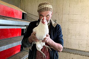 Un homme élève un poulet dans un poulailler.