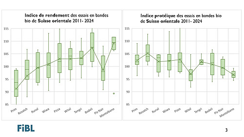 Graphique montrant l'indice de rendement et de protéine des essais en bandes en Suisse orientale.