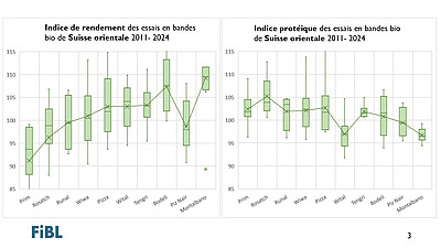 Graphique montrant l'indice de rendement et de protéine des essais en bandes en Suisse orientale.