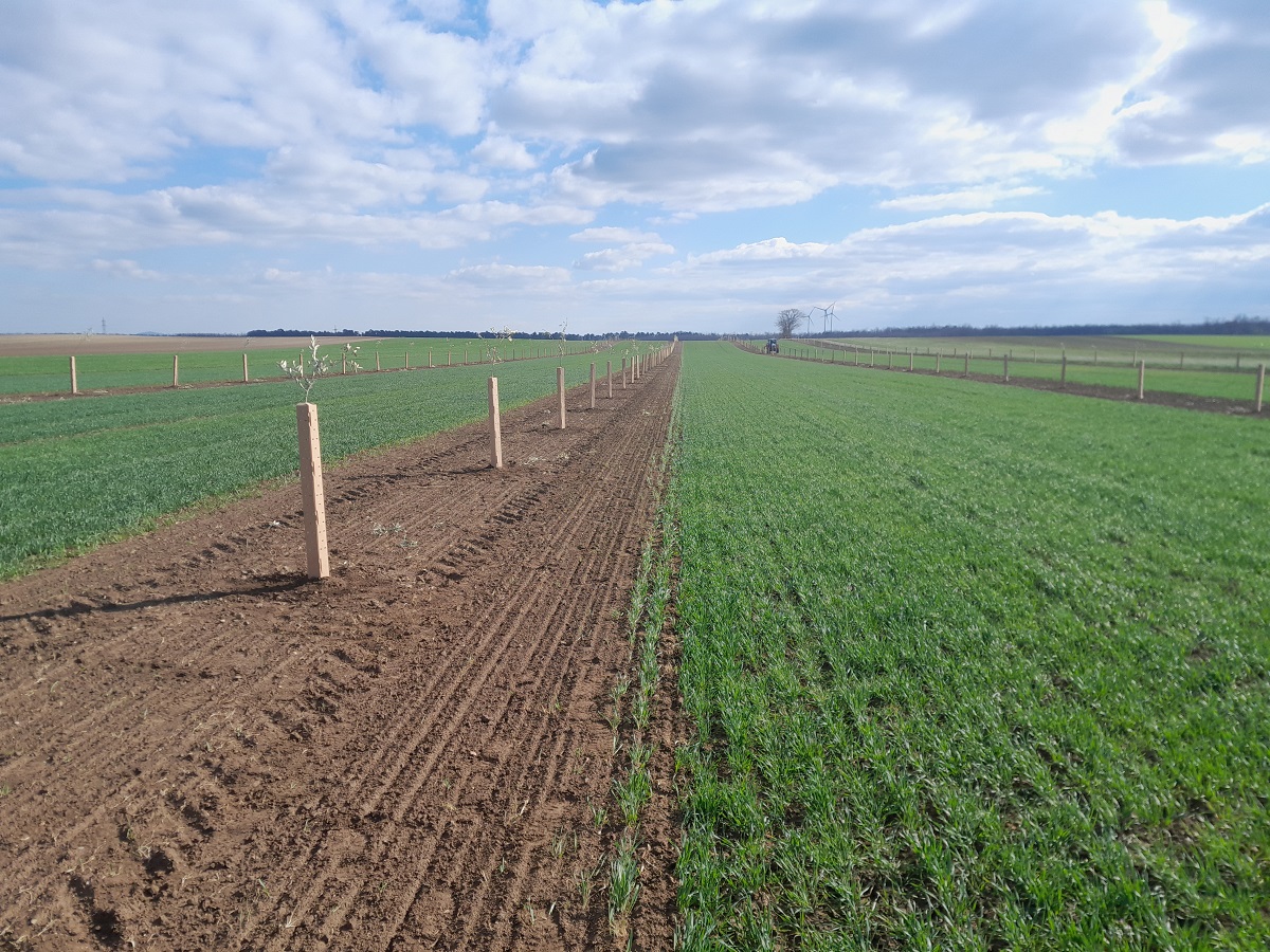 Capter le carbone, augmenter la résilience, préserver les ressources