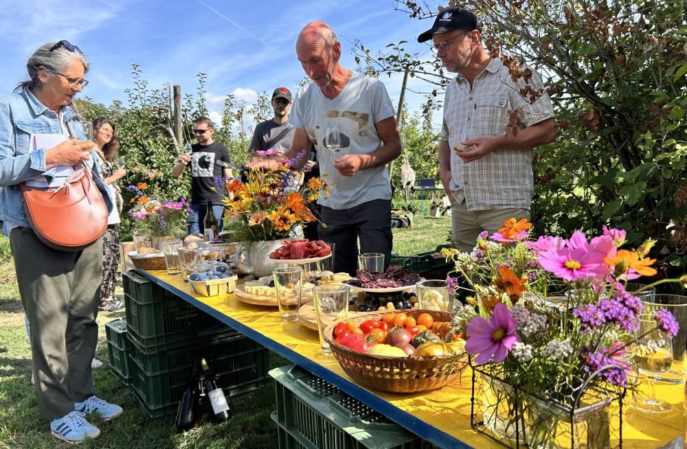 apéro fina avec participants, table fleurie et bien garnie