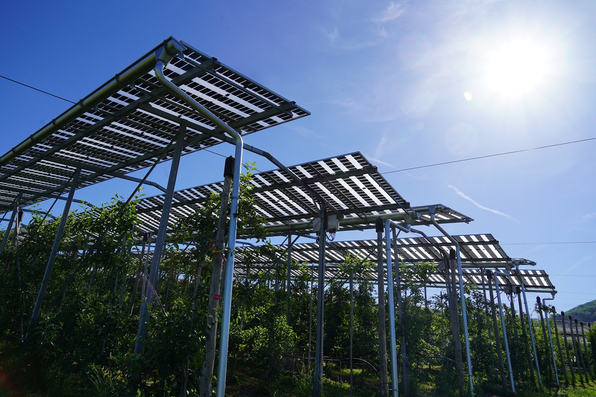 Installation Agri-PV au soleil.