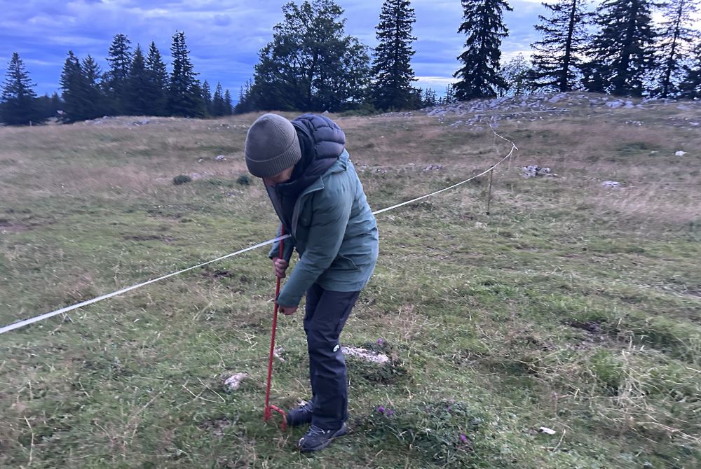 Alice Dind am Zäunen.