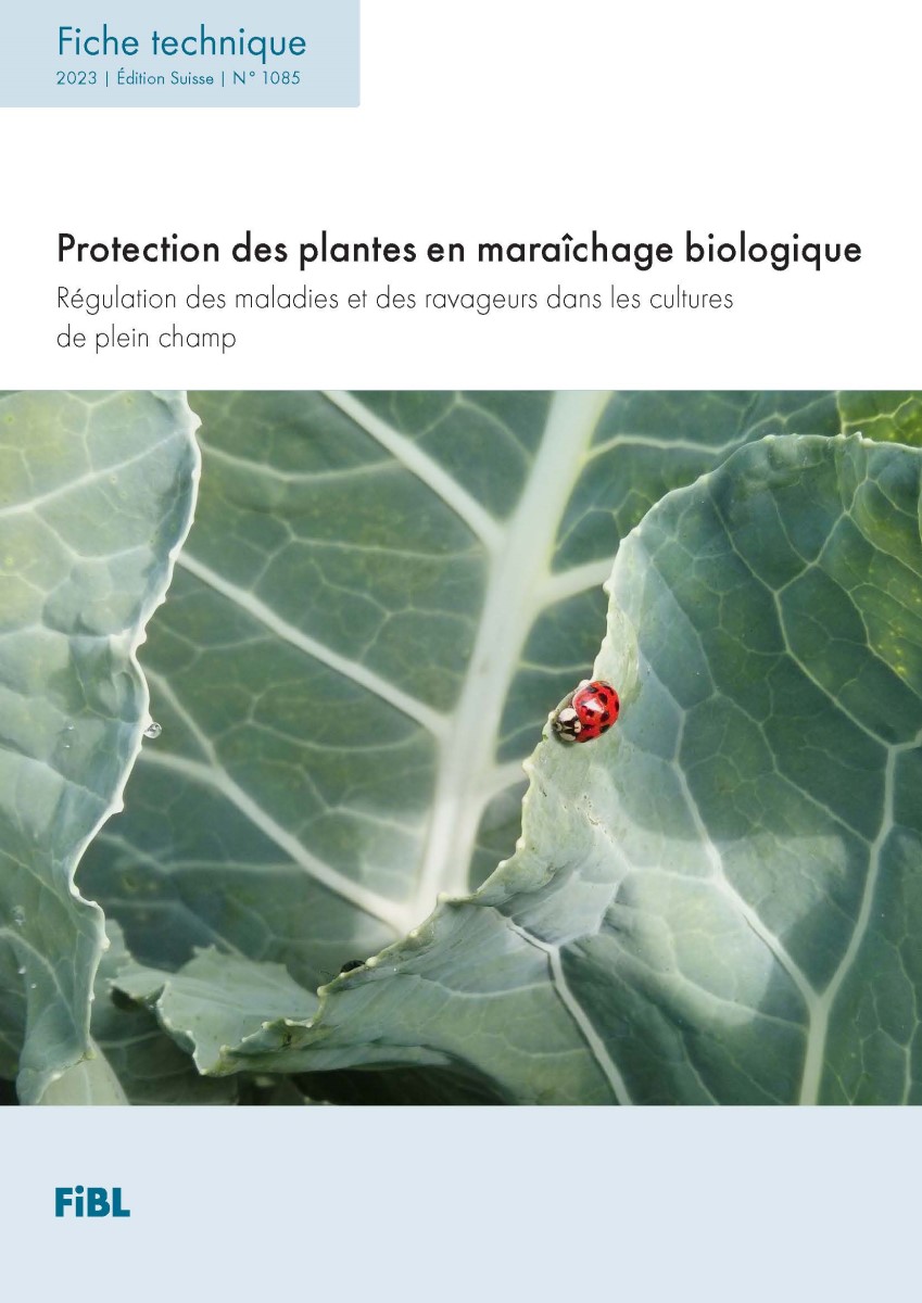 Nouvelle fiche technique sur les bases de la protection phytosanitaire dans  la culture biologique de légumes en plein champ