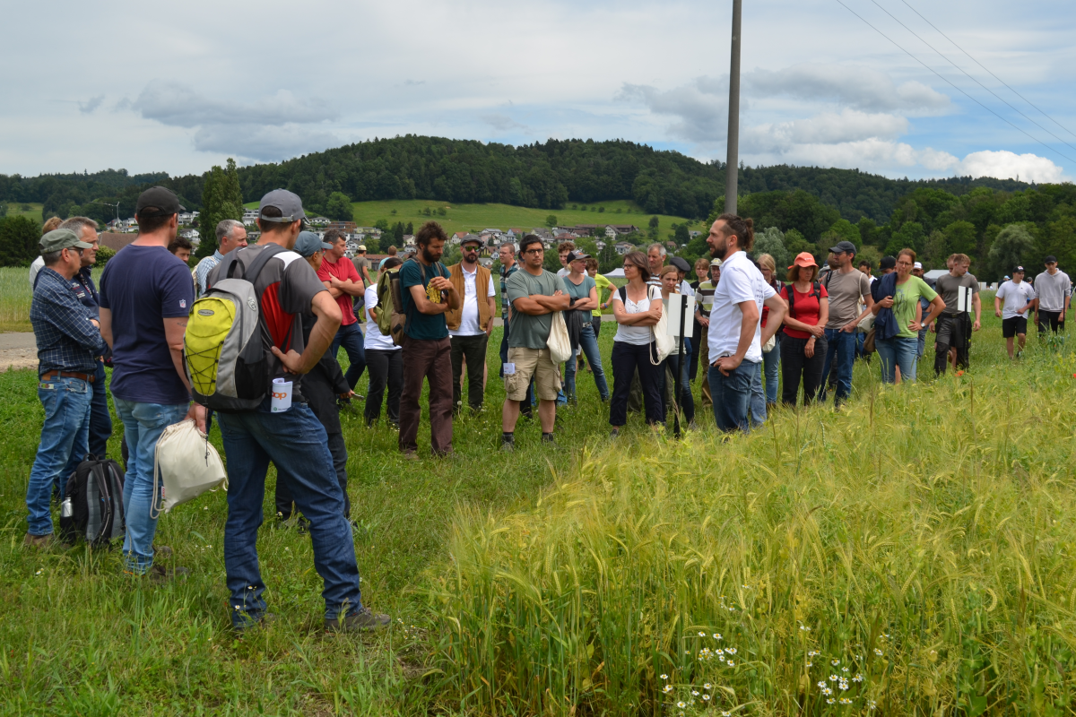 Un groupe de personnes se tient au bord d'un champ.