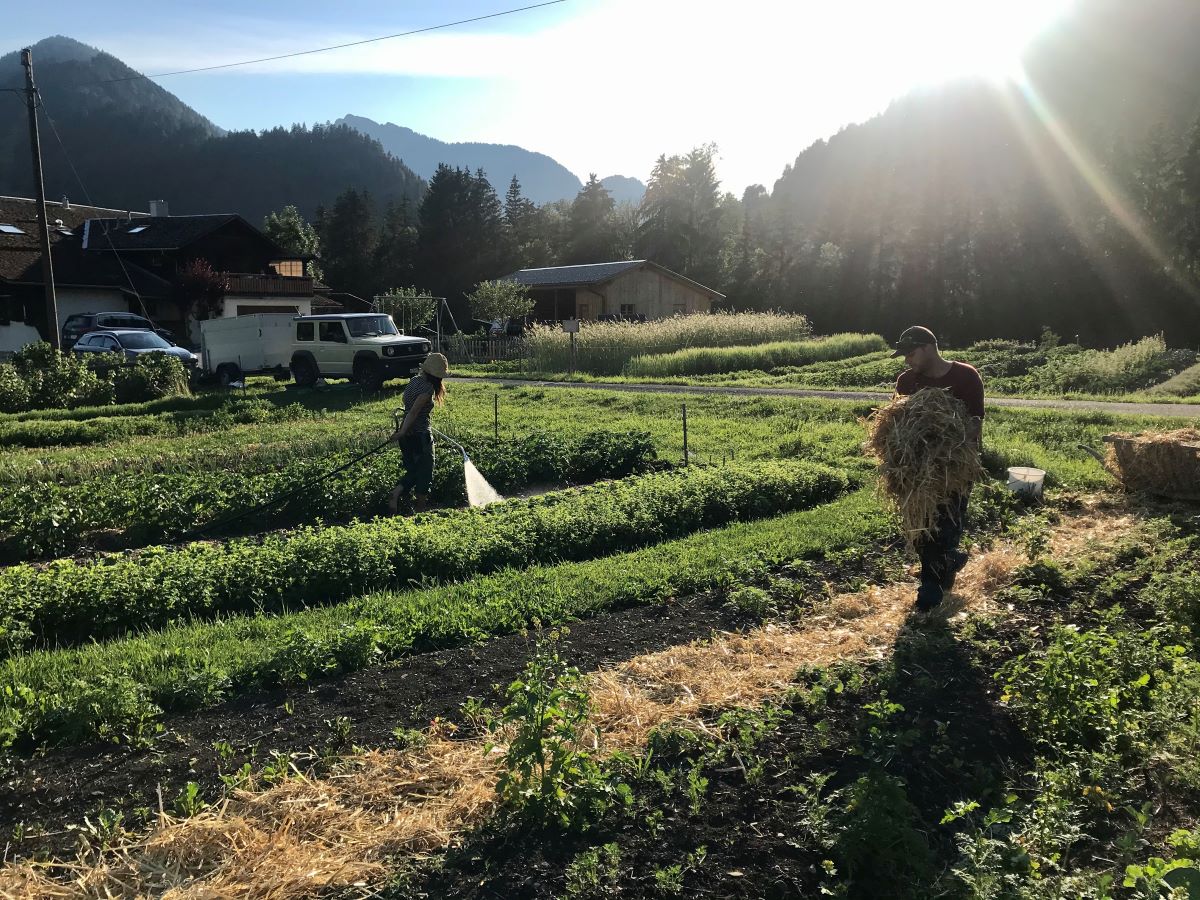 Permaculture en montagne