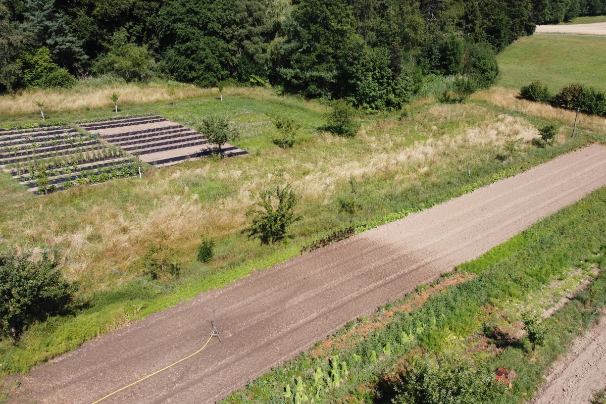 Sur une photo aérienne, on peut voir l'irrigation d'un grand champ à l'aide d'un arroseur ; à côté se trouvent des rangées d'arbres et d'autres champs plus petits. L'arroseur ne couvre qu'une partie du champ. 