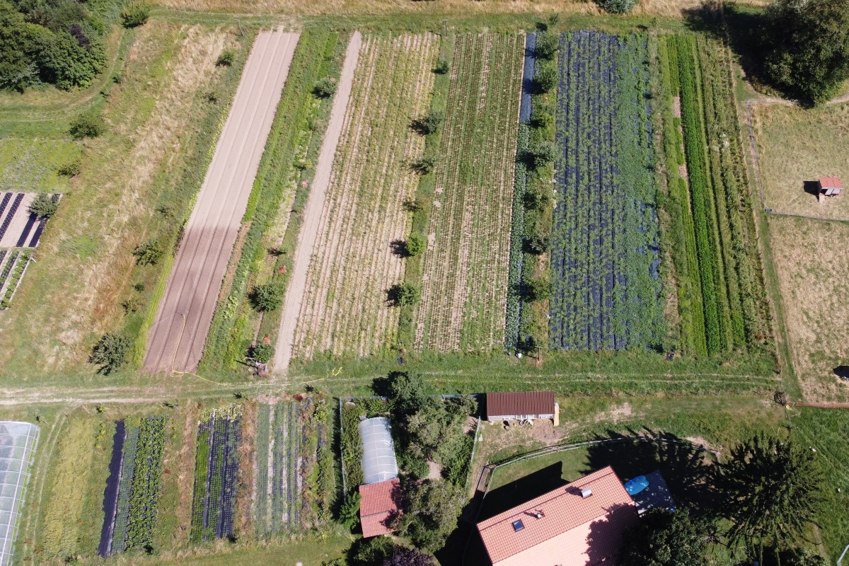 Sur une photo aérienne, on distingue les sept rangées d'arbres et les parterres qui les séparent. Dans la partie sud se trouve une cour, à côté de laquelle d'autres parterres ont été aménagés. 