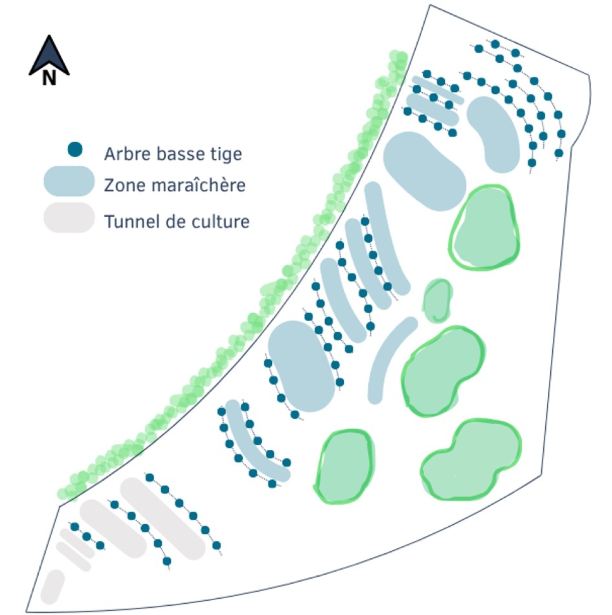 Les arbres sont très dispersés sur la parcelle et délimitent des parterres de forme ovale. 