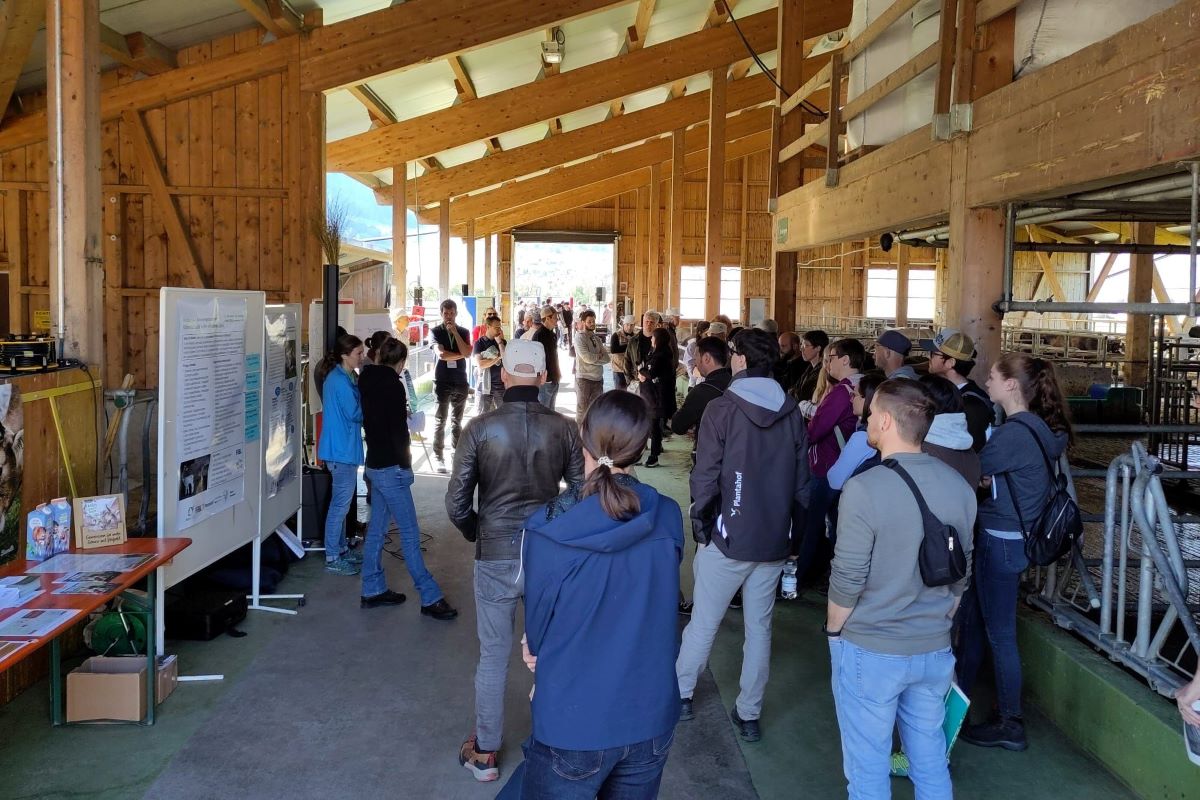 Les participants se tiennent dans l'étable et écoutent les explications des conférenciers.