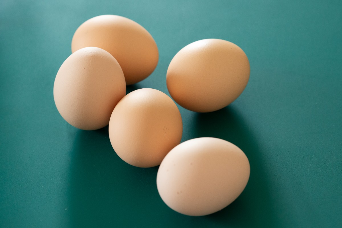 Cinq œufs entiers et clairs reposent sur un fond vert. 